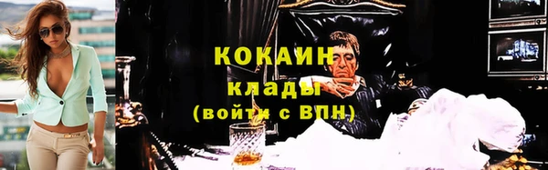 соль ск Козловка