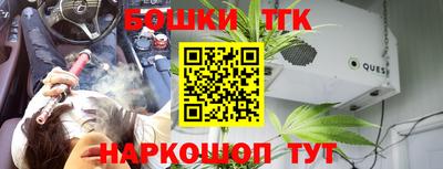 индика Кулебаки