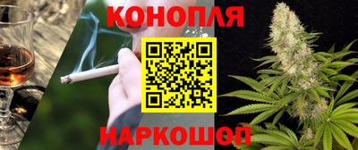 индика Кулебаки