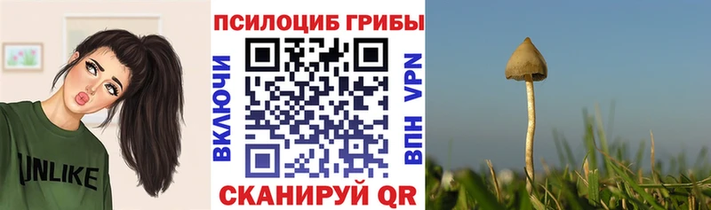 Псилоцибиновые грибы GOLDEN TEACHER Саянск