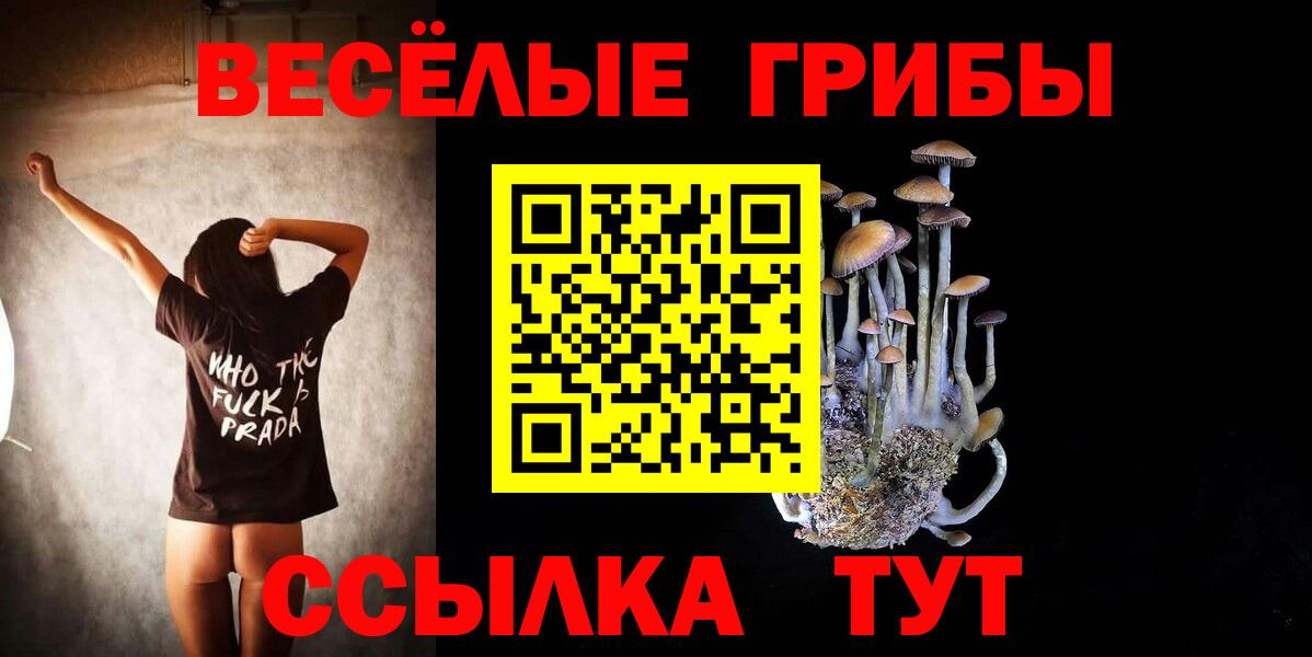 Псилоцибиновые грибы мухоморы  Галлюциногенные грибы мицелий  Вход с VPN  Саянск 